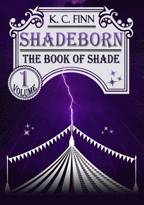 bokomslag The Book Of Shade