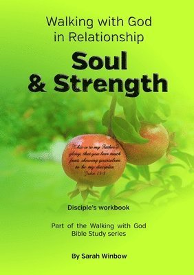 bokomslag Walking with God in Relationship - Soul & Strength