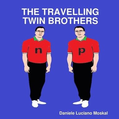 bokomslag Travelling Twin Brothers