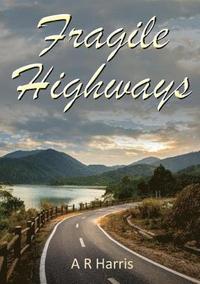 bokomslag Fragile Highways