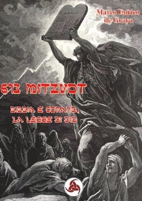 bokomslag 613 Mitzvot - Bibbia e Corano, le Leggi di Dio