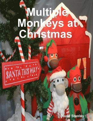 Multiple Monkeys at Christmas 1