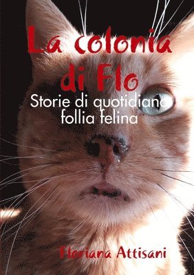 La colonia di Flo 1