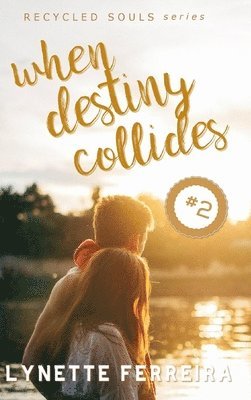 bokomslag When Destiny Collides (Recycled Souls Book Two)