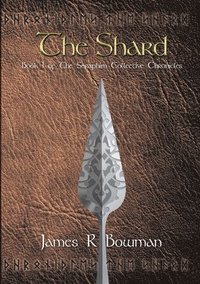 bokomslag Seraphim Collective Chronicles: Book 1 - The Shard