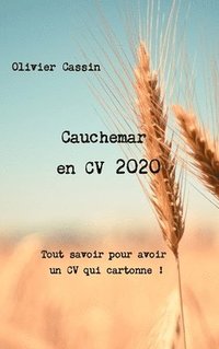 bokomslag Cauchemar en CV 2020