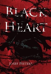 bokomslag Black Heart