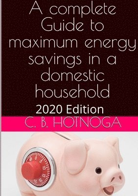 bokomslag A Complete Guide to Energy Savings In a Domestic Household - 2020 Edition