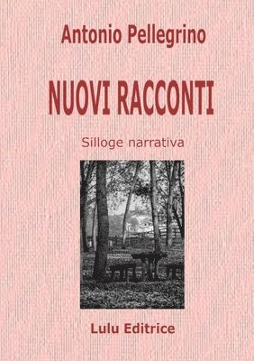 bokomslag NUOVI RACCONTI