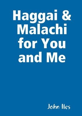 bokomslag Haggai & Malachi for You and Me