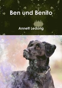 bokomslag Ben und Benito