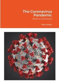 bokomslag The Coronavirus Pandemic