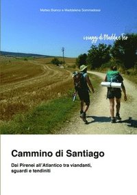 bokomslag Cammino di Santiago - Dai Pirenei all'Atlantico tra viandanti, sguardi e tendiniti