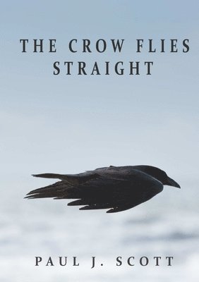 bokomslag Crow Flies Straight