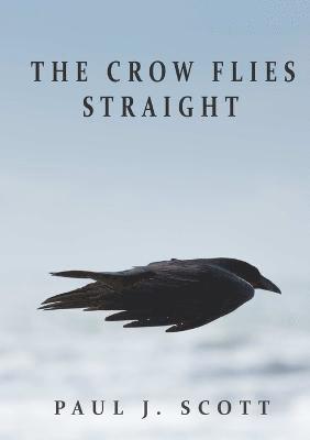 Crow Flies Straight