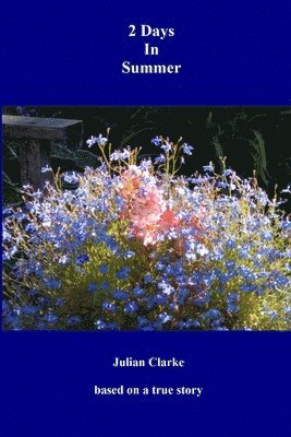 Julian Clarke - 2 Days In Summer, Häftad