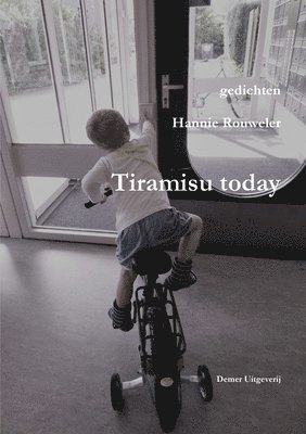 bokomslag Tiramisu today