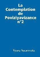 bokomslag La Contemplation de Poviziyavizance n2