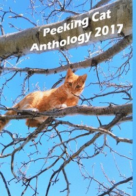 Peeking Cat Anthology 2017 1