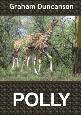 bokomslag Polly