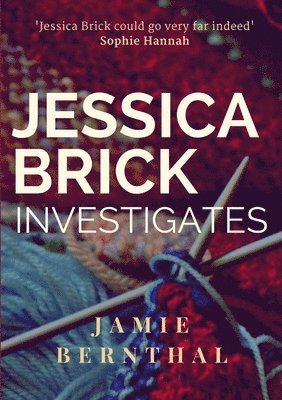 bokomslag Jessica Brick Investigates