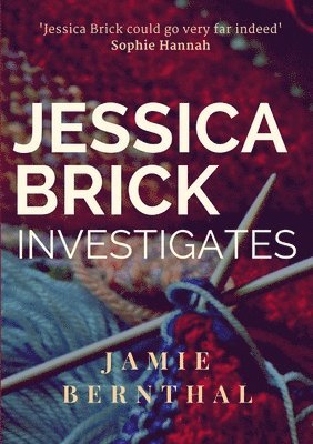 Jamie Bernthal - Jessica Brick Investigates, Häftad