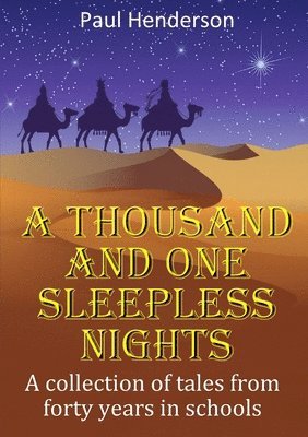 bokomslag Thousand and One Sleepless Nights
