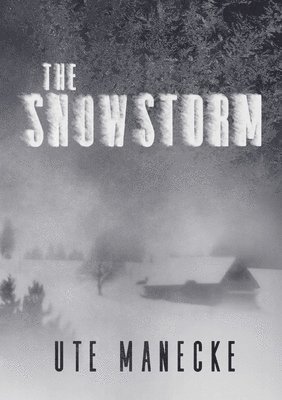 The Snowstorm 1