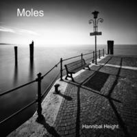 bokomslag Moles