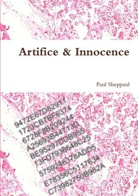 bokomslag Artifice & Innocence