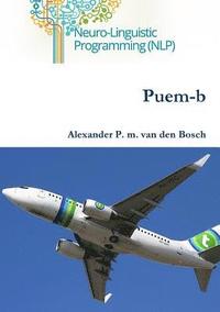 bokomslag Puem-b
