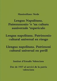 bokomslag Lengua napolitana. Patrimonio cultural universal en riesgo