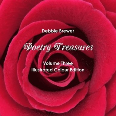 bokomslag Poetry Treasures - Volume Three