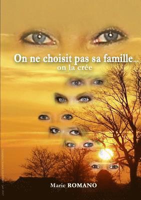 bokomslag On ne choisit pas sa famille... on la crée
