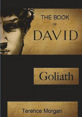 bokomslag The Book of David