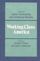 bokomslag Working-Class America