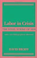 bokomslag Labor in Crisis