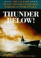 bokomslag Thunder Below!