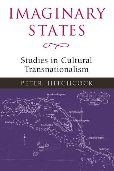 Peter Hitchcock - Imaginary States, Inbunden