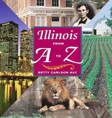 bokomslag Illinois from a to Z