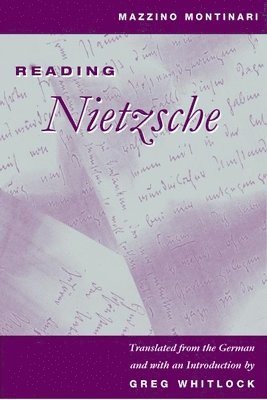bokomslag Reading Nietzsche