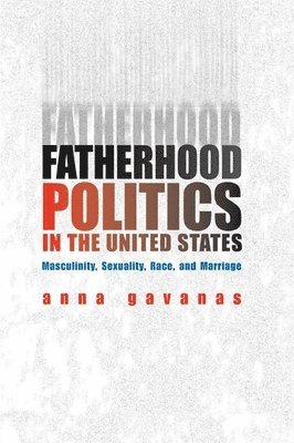 bokomslag Fatherhood Politics in the United States