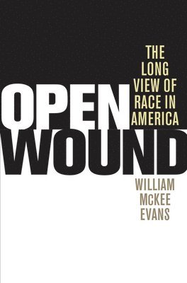 Open Wound 1