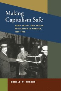 bokomslag Making Capitalism Safe