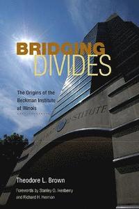 bokomslag Bridging Divides
