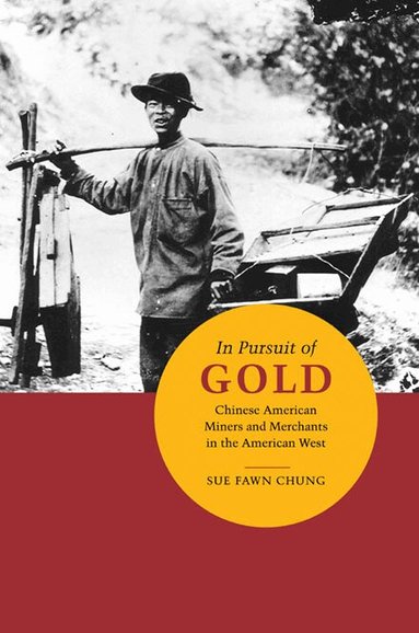 Sue Fawn Chung - In Pursuit of Gold, Inbunden