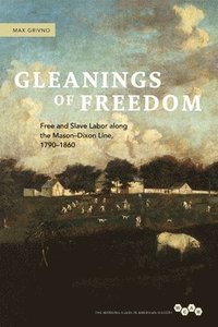 bokomslag Gleanings of Freedom