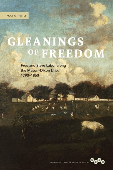 Max Grivno - Gleanings of Freedom, Inbunden