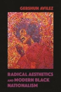 bokomslag Radical Aesthetics and Modern Black Nationalism