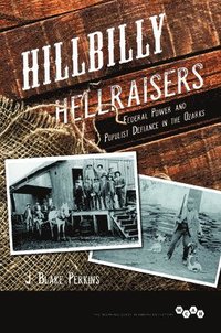 bokomslag Hillbilly Hellraisers
